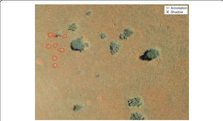 FIG. 4. Animals lying on the ground were not detected (SAVMAP image).
