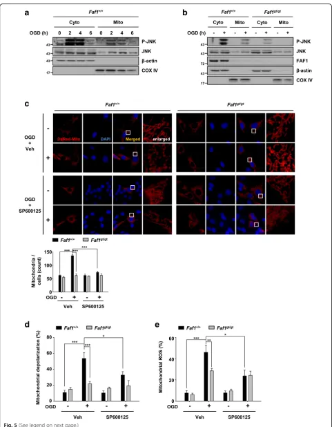 Fig. 5 (See legend on next page.)