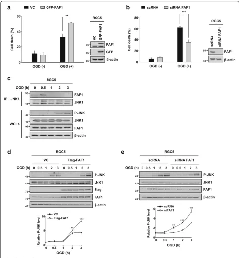 Fig. 6 (See legend on next page.)