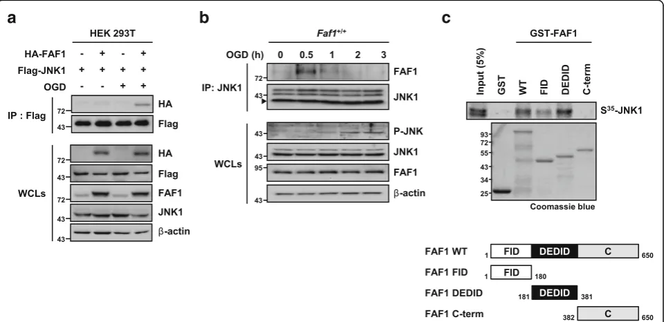 Figure S1d and S1e). In contrast, RIPK1 inhibitor (Nec-1)