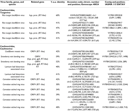 Table 1: Virus-derived sequences in the the grapevine genome.