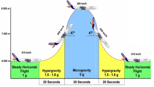 Figure 3. Parabolic Fliight 