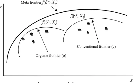 Figure 1. Meta-frontier model