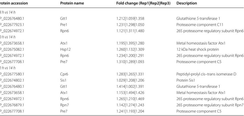 Fig. 5 a Differentially expressed proteins (DEPs) related to oxidative phosphorylation; b cytochrome c oxidase activity at 14 and 22 h; c ATPase activity at 14 and 22 h