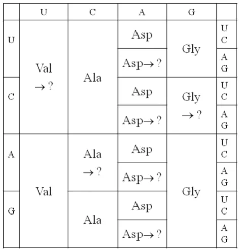 Figure 3 shows several possible steps by which the four-column code could have evolved via subdivision