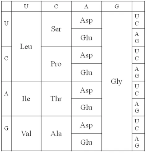Figure 5Proposed structure of the code after the 10 early