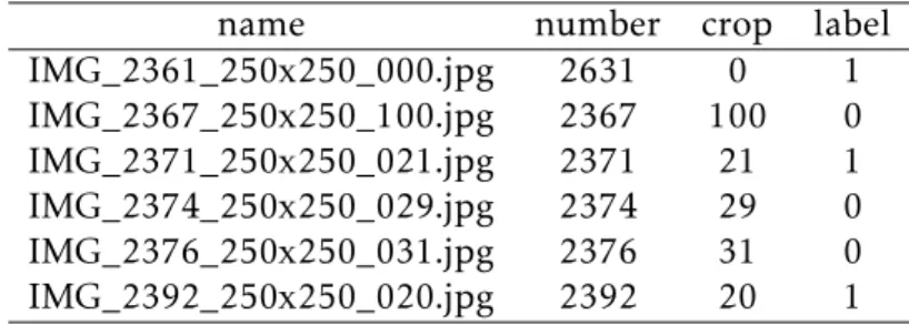 Table 4.1: Cropped tiles and labels given based on presence of palms