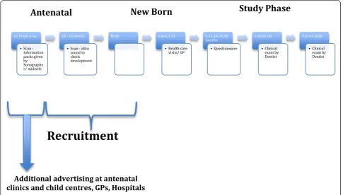 Fig. 2 Recruitment outline for Birth Cohort