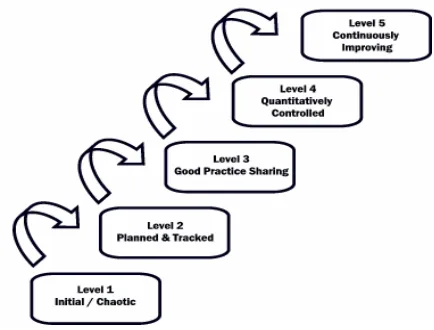 Figure 1 – SPICE maturity levels (source: Sarshar et al, 1998) 