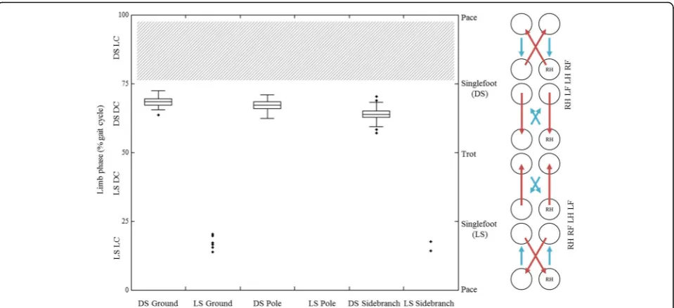 Fig. 4 Limb phase data from walking steps on each substrate type in our sample of Saimiri sciureus