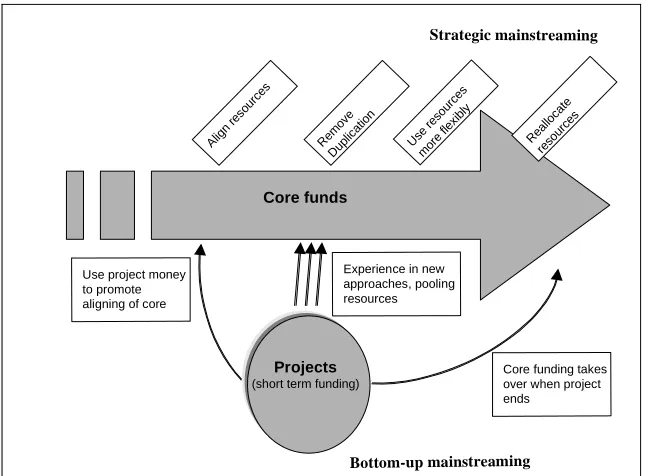 Figure 1: Mainstreaming: the theory? 
