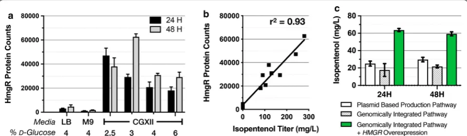 Fig. 5 Analysis of HmgR Protein Abundance vs. Isopentenol Titer. All strains were prepared for isopentenol production in CGXII medium at HmgR at the timepoints indicated are plotted as a function of cultivation condition