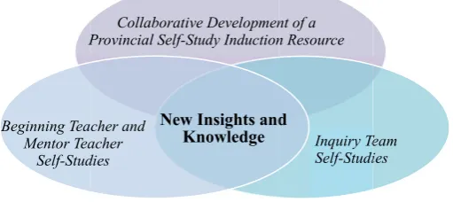 Figure 1. Simultaneous Self-Studies