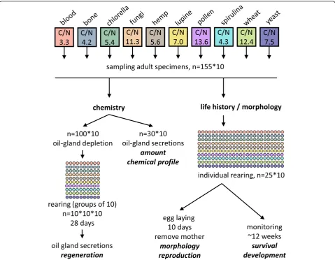 Fig. 1 Conceptual scheme depicting the experimental design of this study. Color code corresponds to the ten resources and is used throughoutthe study