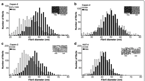 Fig. 4 Ultrastructural analysis of KAT-4 and Capan-2 tumors using transmission electron microscopy.diameter in KAT-4 carcinomas treated with 3G9 (2 × 3 mg/kg) ((tabulated in GraphPad using the Frequency distribution analysis tool