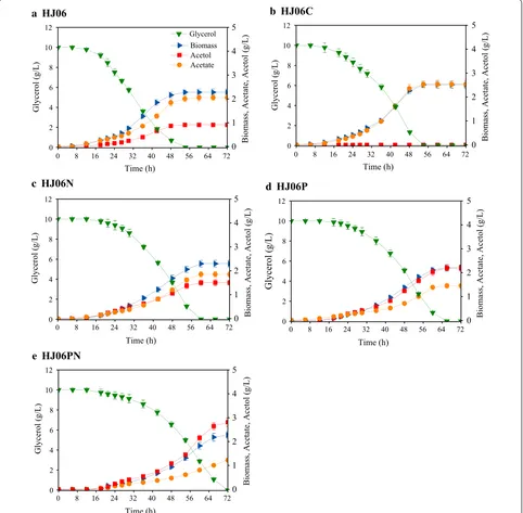 Fig. 1 Culture profiles of acetol-producing and non-producing E. coli strains HJ06 (a), HJ06C (b), HJ06N (c), HJ06P (d), and HJ06PN (e)