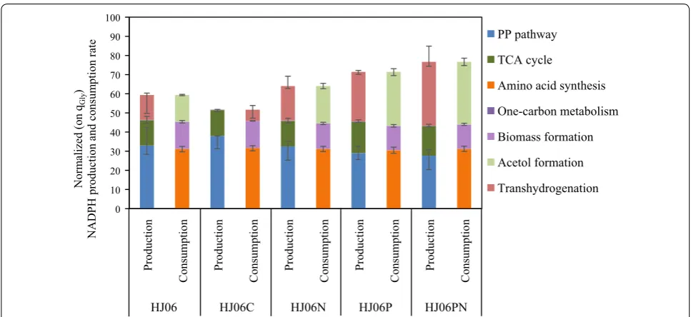 Fig. 3 Estimated production and consumption of NADPH by acetol-producing and non-producing E