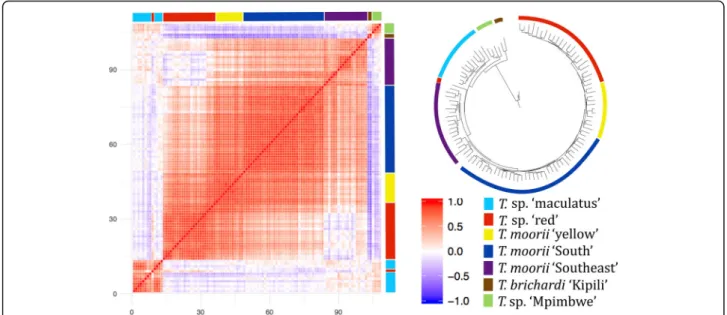 Fig. 4 Heat map of genetic similarity and AFLP-based NJ tree of 108 southern specimens of Tropheus
