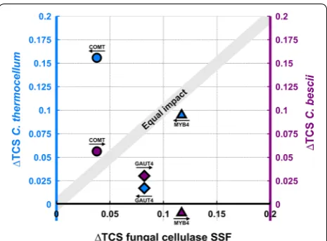 Figure  3a presents solubilization for COMT transgenic switchgrass (COMT+) and the unmodified control (COMT−), with no augmentation, and augmentation via 