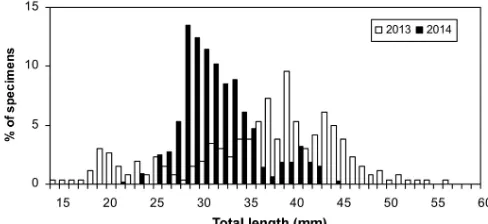 Figure 4. Length–frequency distributions of early life stages of sar-dine collected in the Gulf of Manfredonia.