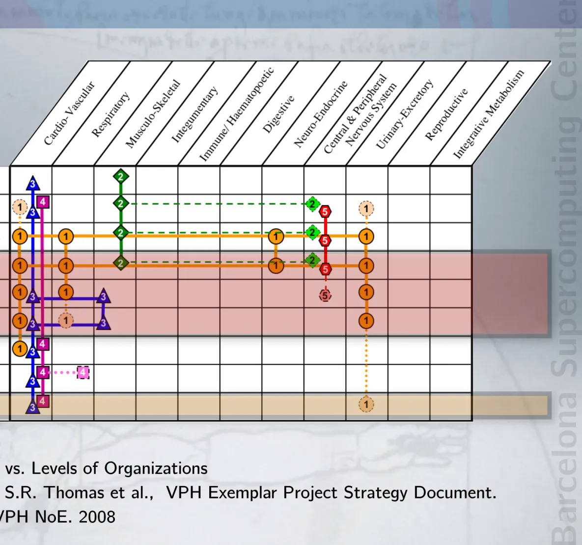 Figure 1. Organ Systems vs. Levels of Organization. The figure shows, for each of the  five seedEPs (indicated by the numbered colored symbols), the vertical and horizontal  integration activities
