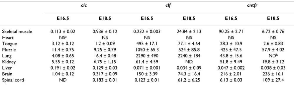 Table 1: RT-PCR analysis of clc, clf and cntfr expressiona
