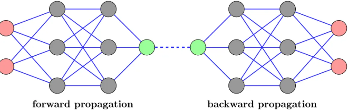 Figure 2.7: Attaching reverse copy of network: forward and backward propagation.