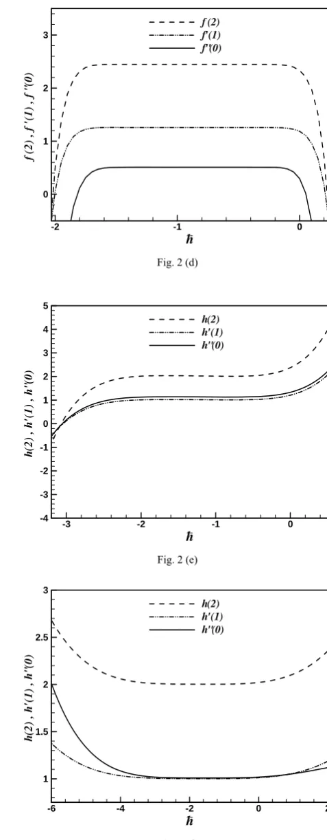 Fig. 2 (d) 