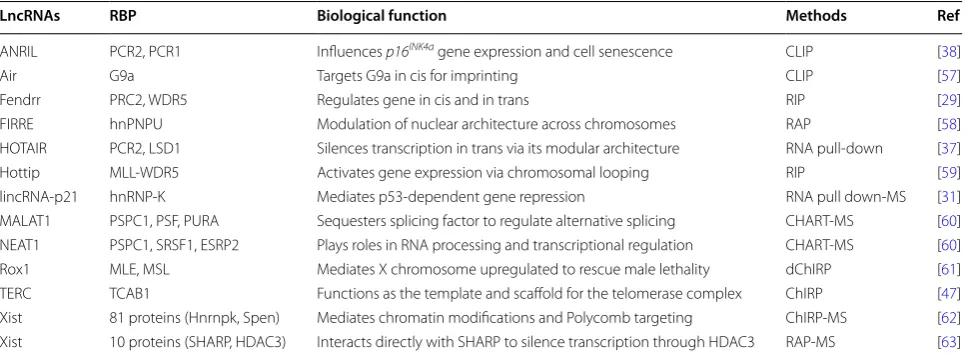 Table 1 Summary of lncRNA analyzed by several biochemistry approaches