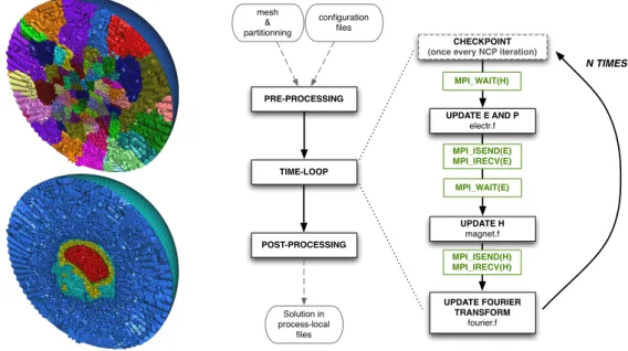 Figure 2 outlines the workflow of the solver and shows the mesh of a human head, to- to-gether with its partitioning