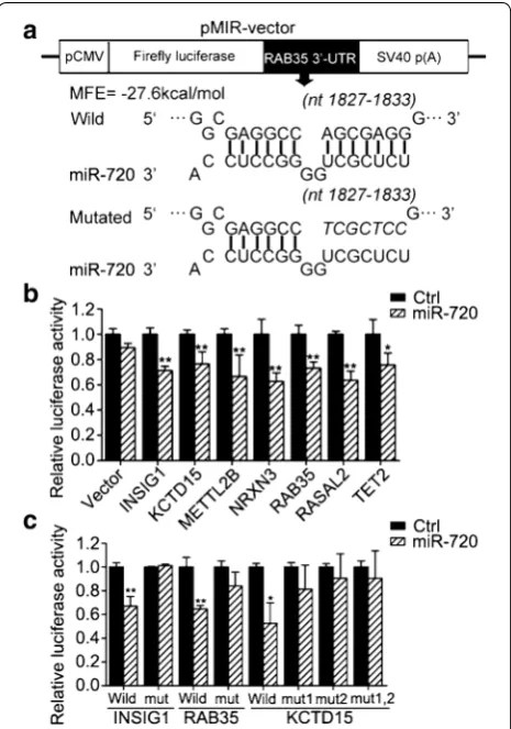 Fig. 3 Dual luciferase reporter assays verify that miR-720 regulates its targets by binding directly to their 3′-UTR