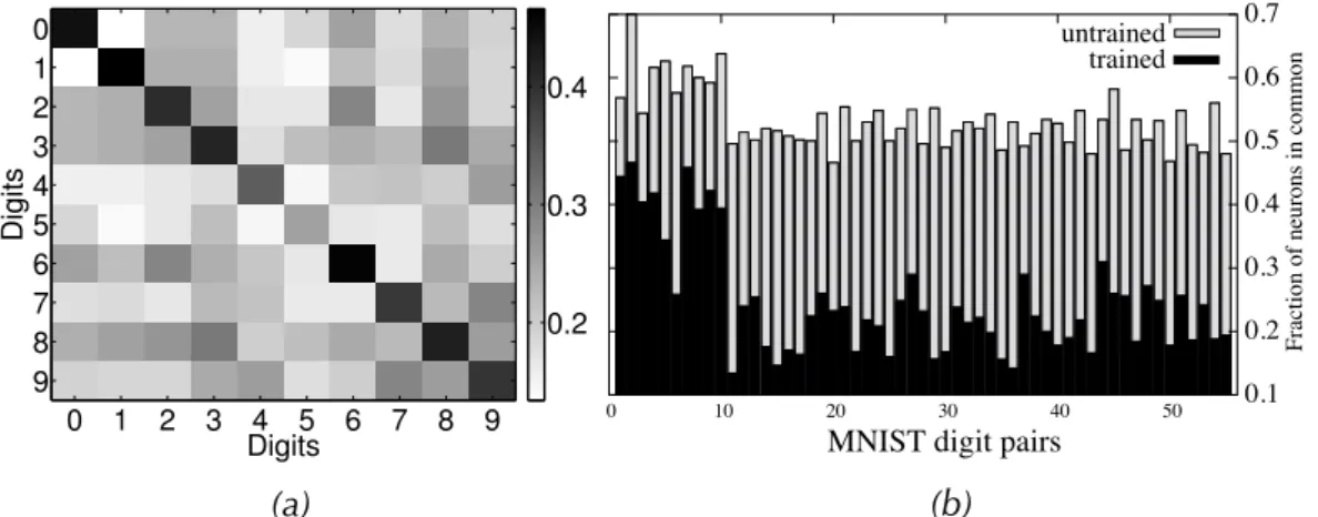 Figure 4.3. Analysis of subnetworks in trained LWTA networks. (a) Each entry in the matrix denotes the fraction of units that a pair of MNIST digits has in common, on average, in the subnetworks that are most active for each of the two digit classes
