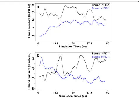 Fig. 8 The variation of hydrogen bonds (HBs) during the MD simulation. The number of the hydrogen bonds between the residues at PD-1 interfacesformed with solvents in hPD-1/PD-L1was increasing during the MD simulation (and the atoms from PD-L1 (a) or solve