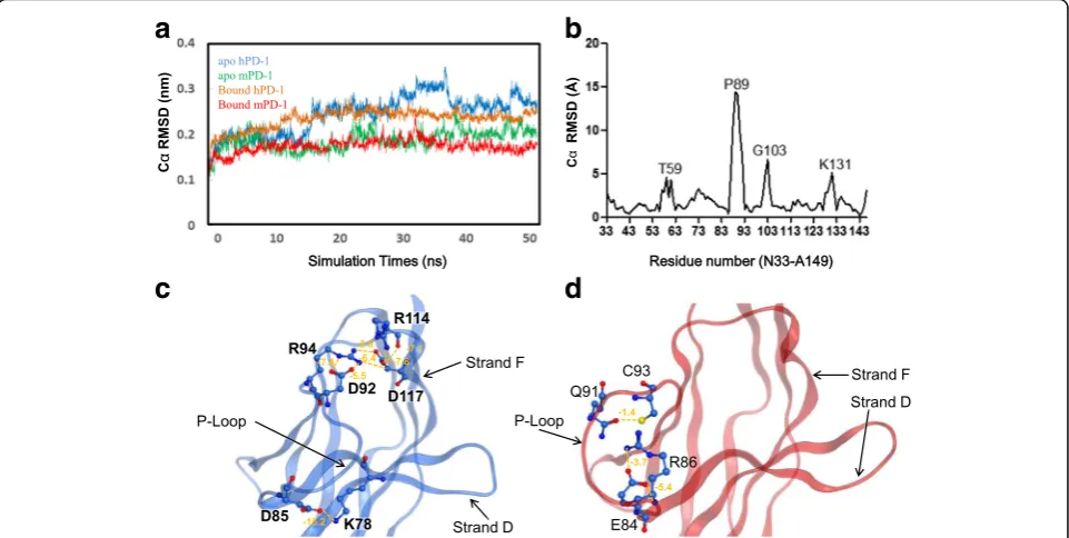 Fig. 2 Flexibility of the PD-1 molecules during the molecular dynamic simulations.flexible.of Csystems