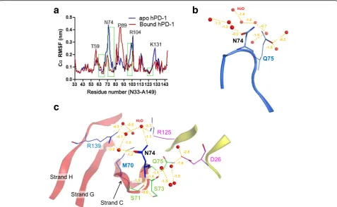 Fig. 3 The atomic fluctuation of human PD-1 molecule.water solvents in theapo a The comparison of the root mean square fluctuation (RMSF) of each residue between and bound states