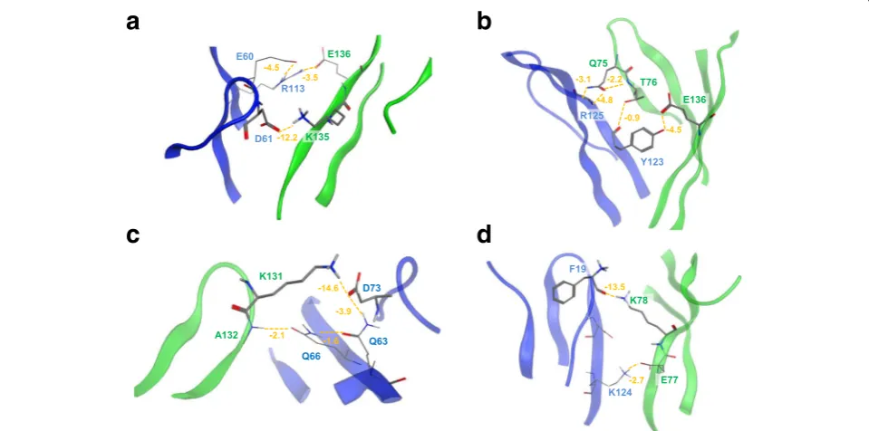 Fig. 6 Interactions between PD-1 (Green) and PD-L1 (Blue). The interactions were indicated by orange dashed line and the interaction energieswere shown in orange (kcal/mol)