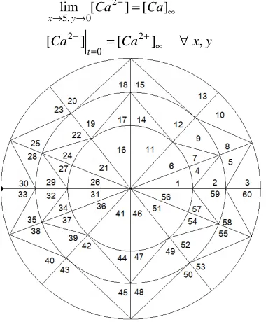 Fig. 1 Finite Element discretization of the cytosol, small black circle at element number ‘30’ and ‘33’ represents point 