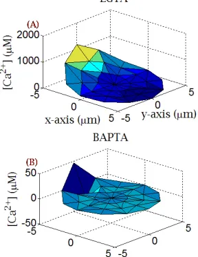 Fig. 5 Change in calcium profile for two calcium chelators namely EGTA and BAPTA. 