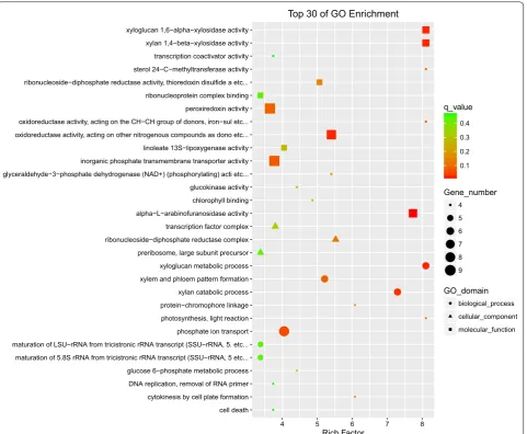 Fig. 4 Distribution of top 30 GO categories enrichment upon high cobalt treatment (4 days)