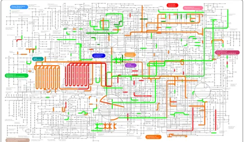 Fig. 6 Overview of metabolic pathways and regulation during the high cobalt treatment (2 days) in B