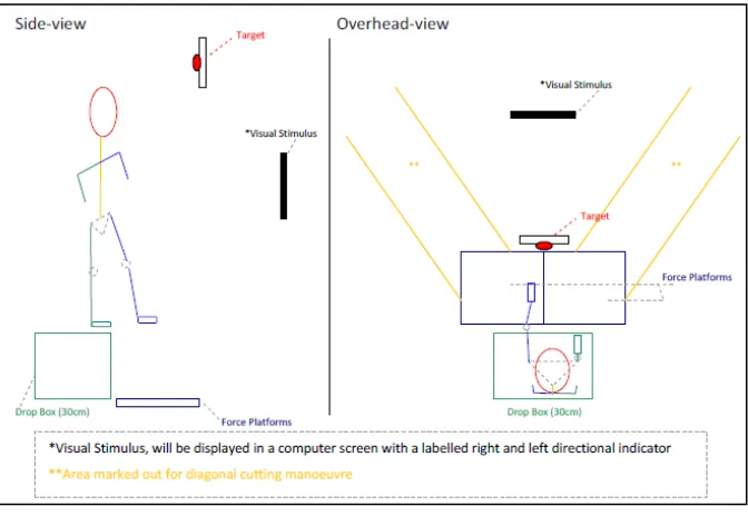 Table 1 Lower limb alignment variables at initial contact for both groups 