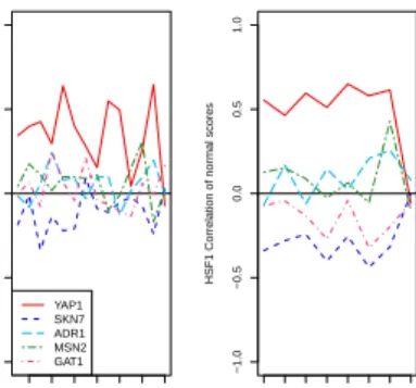 Figure 4.7: Correlations estimated with GM (left panel) and correlations of the normal scores estimated by CM (right panel) between HSF1 and the five other binding factors