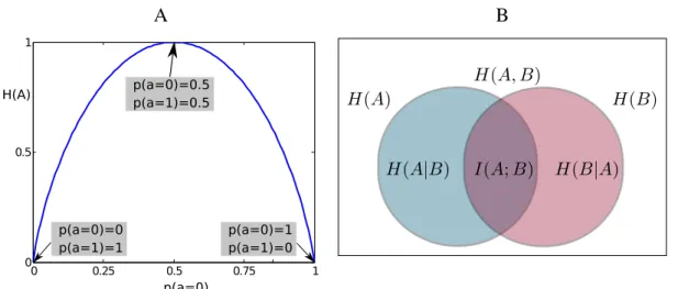 Figure 2.3: A: Entropy of the binary variable A ∈ {0, 1} plotted against p(a = 0). It is shown that entropy reaches its maximum value at p(a = 0) = p(a = 1) = 0.5 and its minimum value at p(a = 0) = 1 and p(a = 0) = 0