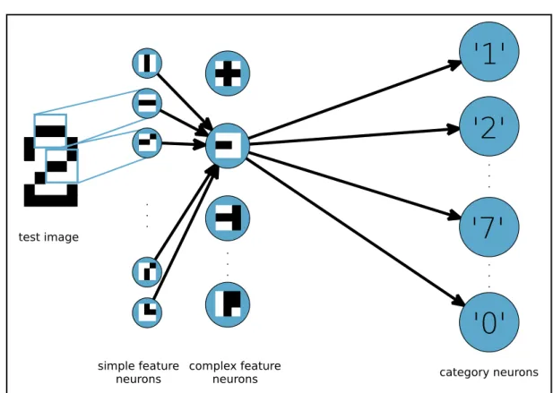 Figure 4.2: A neural network representing two layers of simple and complex feature neurons and an output layer of category neurons.