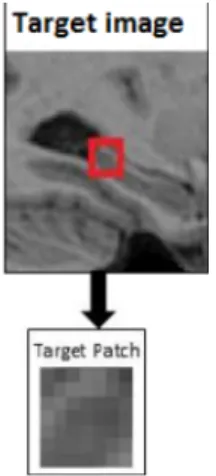 Figure 4.2: Patch creation from the cropped image (target image). The patch is marked by the red square