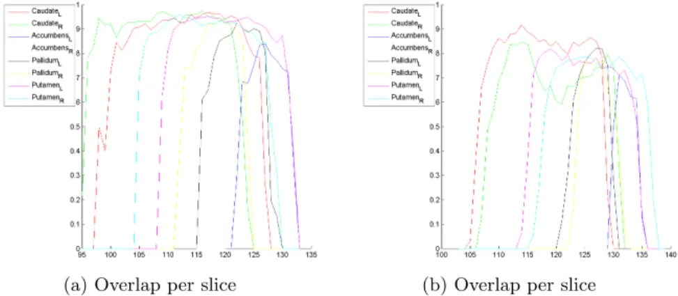 Table 5.2: Average Dice overlaps for Basal Ganglia (BG) right structures.