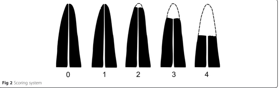 Fig 2 Scoring system