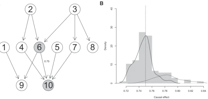 Fig. 1. Example for accumulation of the causal effect for a small simulated dataset. (A) Causal network
