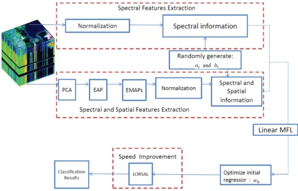 Figure 1. The flowchart of the proposed extreme sparse multinomial logistic regression (ESMLR)  framework