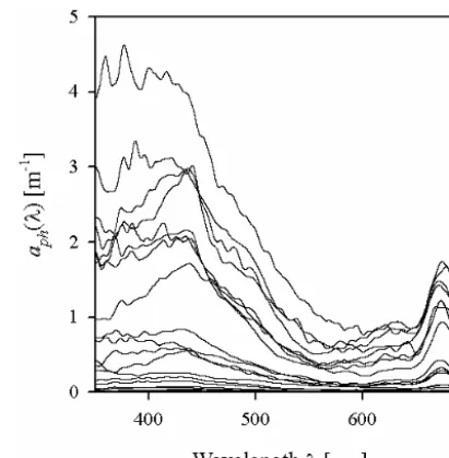 Figure 2. Examples of the spectra of the light absorption coefﬁcientaph(λ) representing the variability range of the data analysed in thepresent paper.